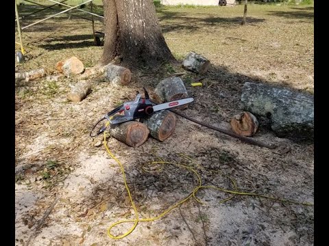 OREGON ELECTRIC CHAIN SAW REVIEW