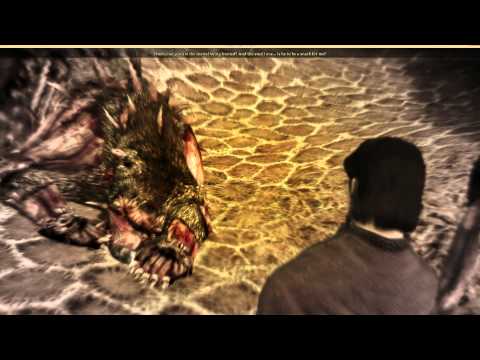 Dragon Age: Origins - First Hour, Elven Mage
