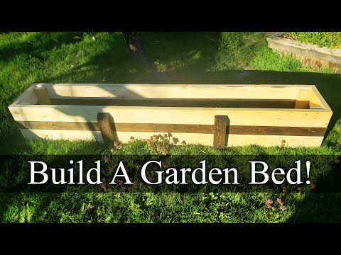 How To Reuse Old Potting Soil FOUR ways