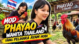 Download lagu MOD PHAYAO, THE THAI WOMAN WHO KEEPS CHICKENS AS A HOBBY - PART 8 mp3 Download lagu MOD PHAYAO, THE THAI WOMAN WHO KEEPS CHICKENS AS A HOBBY - PART 8 mp3