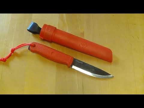 Condor Terrasaur - Meine Meinung