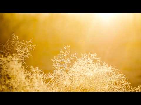 Manu F: Yellow (Original Mix)