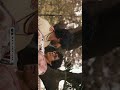 Ethu Kari Ravilum Banglore Days Full Screen Whatsapp Status Hd Beats Creations
