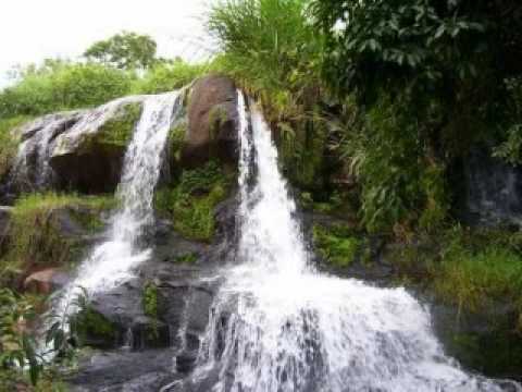 Floresce video