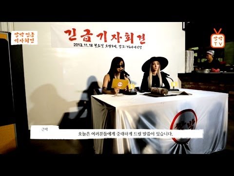 2NE1 - double park 'urgent press conference'