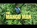 Meet The Farmer Saving 700 Mango Varieties In Kerala