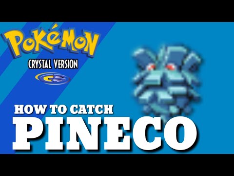 Where to find Pineco in Pokemon Crystal Version using Headbutt