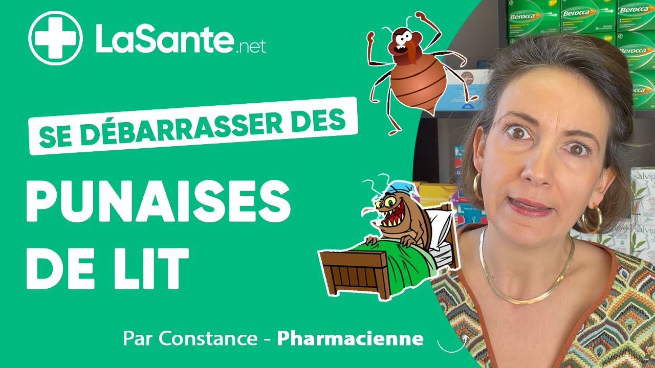 Comment se débarrasser des punaises de lit 