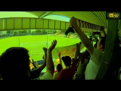 Ilves Tammelassa 2014