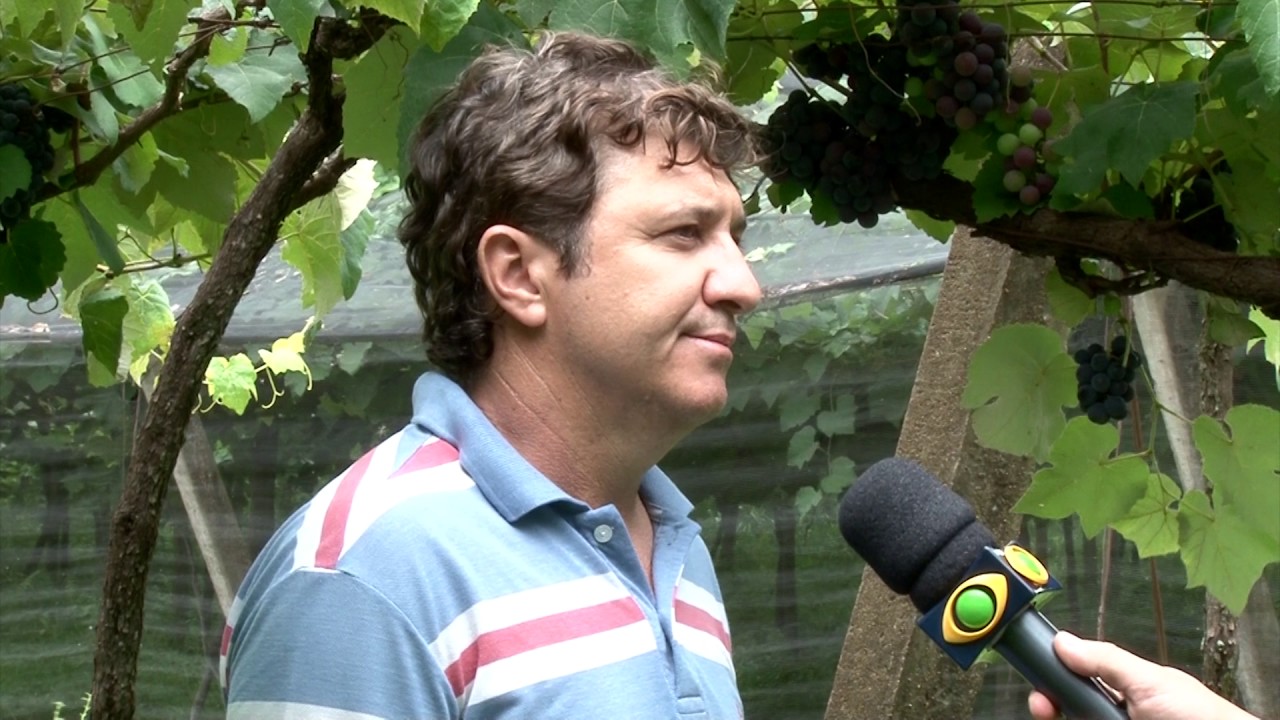 Watch Now Conheça a fabricação do suco de uva integral Conheça a fabricação do suco de uva integral