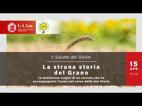 Il Salotto del GAAm - "La strana storia del Grano"