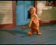 GARFIELD Baha Man Who Let The Dogs Out