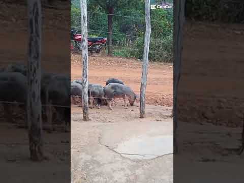 mostrando um pouco do lugar que mim faz bem que é o interior de reriutaba ceara
