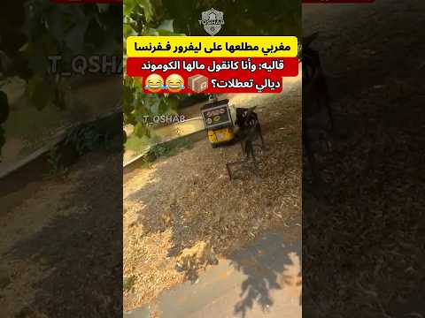 مغربي مطلعها على ليفرور ففرنسا لقاه ناعس📦🤣