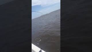 preview picture of video 'Fishing for Redfish in South Carolina'