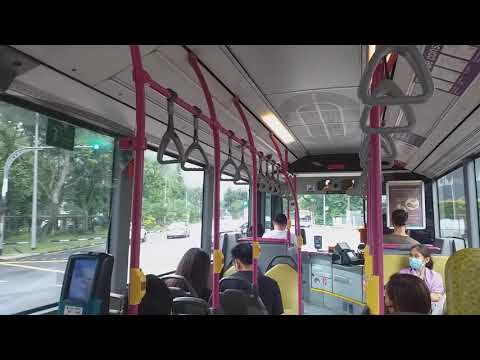 SBS Transit: Ride Onboard [SBS6204R] On Service 33 (Part 2)