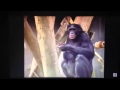 Barney Let S Go To The Zoo Song 8 Rock Like A Monkey