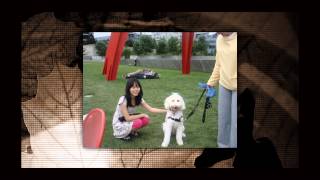 KERRY AND OLYMPIC SCUPTURE PARK