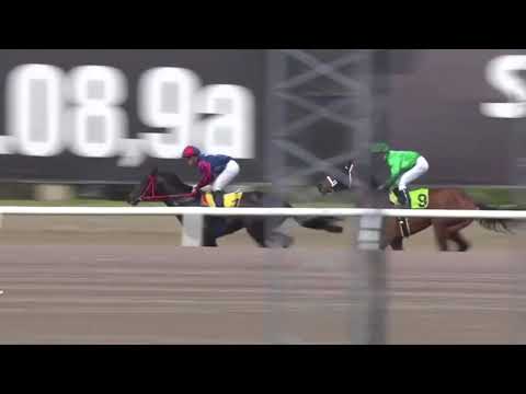 Plantstepsdream 28 april 2019 - Jägersro Galopp