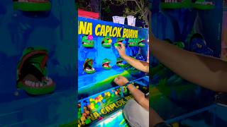 buaya caplok bola hijau