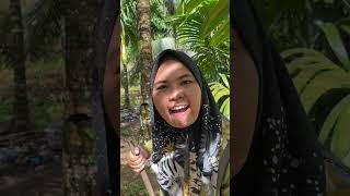 Download lagu Tetangga somplak #comedy #fypviral #today #lucu #funny #komedibahasajawa #comedijawa mp3 Download lagu Tetangga somplak #comedy #fypviral #today #lucu #funny #komedibahasajawa #comedijawa mp3