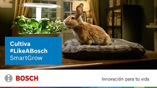 Bosch Vive #LikeBosch: Huerto SmartGrow para cultivar en casa todo el año. anuncio