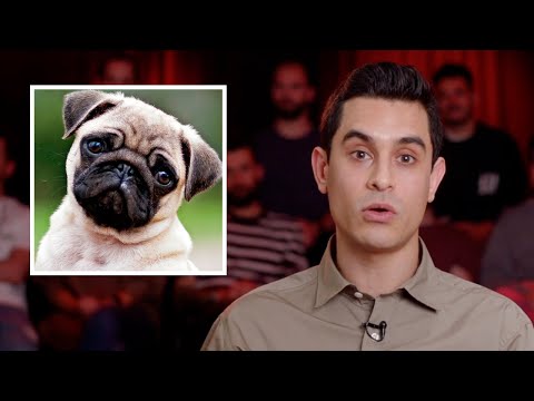 Los perros | DAVID SUÁREZ