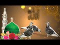 Madine Ko Jaye Yeh Jee Chahta Hai Naat Status Status Shortvideo Viral Ringtone Naat New