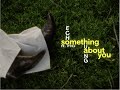Echo Huang - Something About You (feat. FIG)[Offical Lyric Visualizer]