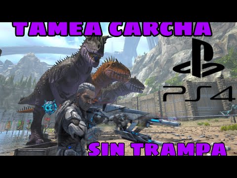 ARK: TAMEAR Carcharodontosaurus  (la manera mas facil) oficial ps4 pve