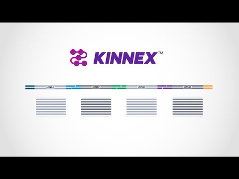 Kinnex explained—how concatenating smaller amplicons increases throughput for PacBio HiFi sequencing