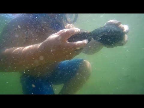 Tuesday-Wednesday, August 4-5, 2020: Sumas, Blaine, Semiahmoo