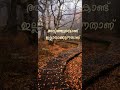 Words ️ Sad Status Whatsappstatus Malayalam Motivation Sad Words
