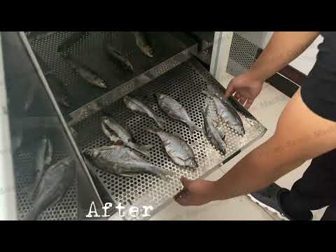 Fish dryer machine/Fish dehydrator/Fish drying