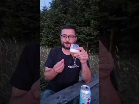 Nasty Nasty - Nasty Fox | Sommer-Bier-Box 2025