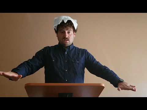 snl's cold open about the fly on mike pence from the debate this week, probably