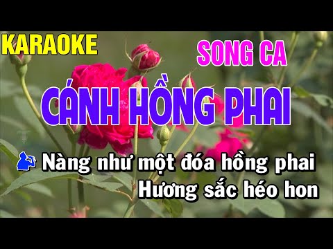 Cánh Hồng Phai Karaoke Song Ca Thái Tài Karaoke