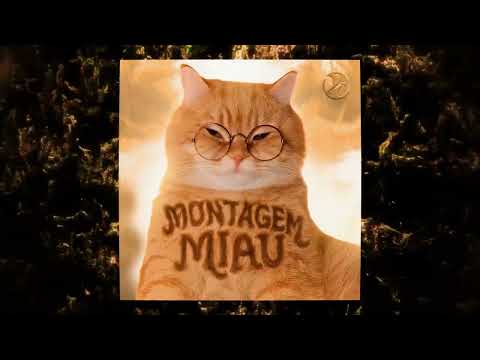 MONTAGEM MIAU (TikTok version)