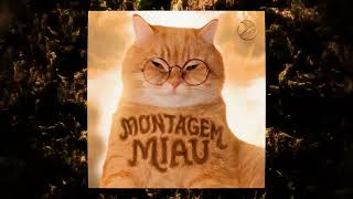 Download lagu MONTAGEM MIAU (TikTok version) mp3