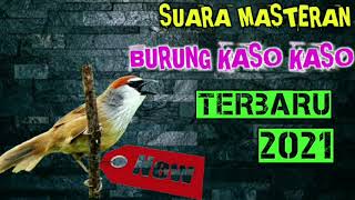 Download lagu MASTERAN BURUNG KASO KASO TERBARU 2021 mp3 Download lagu MASTERAN BURUNG KASO KASO TERBARU 2021 mp3