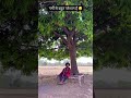 थारी जिंदगी कटे मोज में 𝐓𝐚𝐠 𝐘𝐨𝐮𝐫 𝐅𝐫
