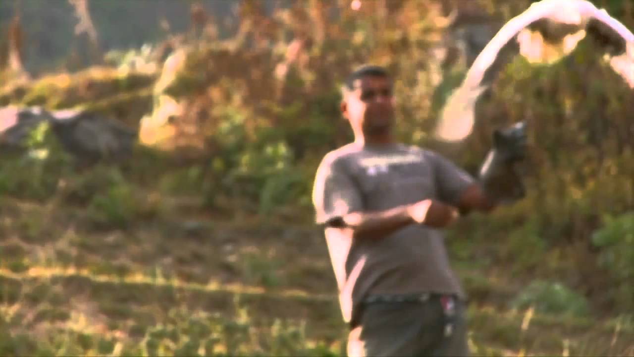 Flight For Survival - Trailer (Parahawking)