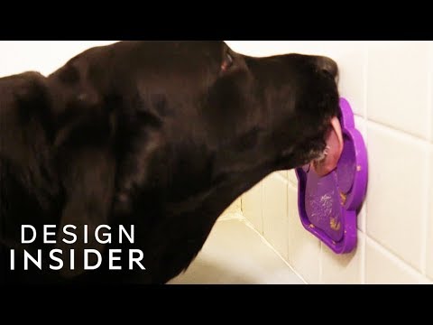 Get Your Dog Excited And Well-Behaved For Bath Time