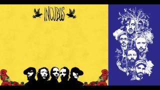 Incubus - Look Alive [2007] Bonus CD (All instrumental tracks 1-11)