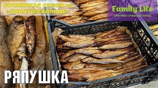 Переславль залесский рыбалка и отдыха плещеево