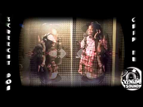 SCREECHY DAN & CHIP FU dubplate {Venum Sound} @ dainjamentalz u$a 4