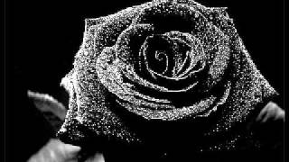 Rosanera [Acoustic] - DVDS