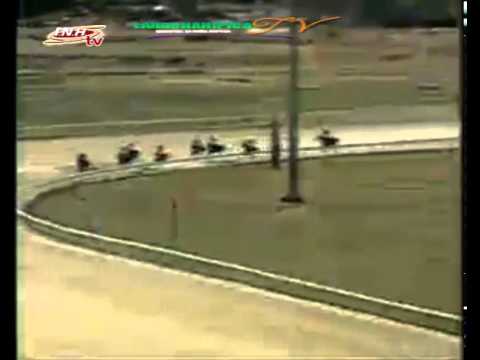 VALENCIA 6 CARRERA, VIERNES 20 DE FEBRERO DEL 2015