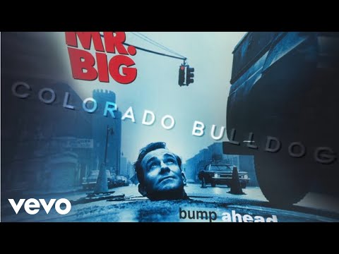 Colorado Bulldog - Mr. Big