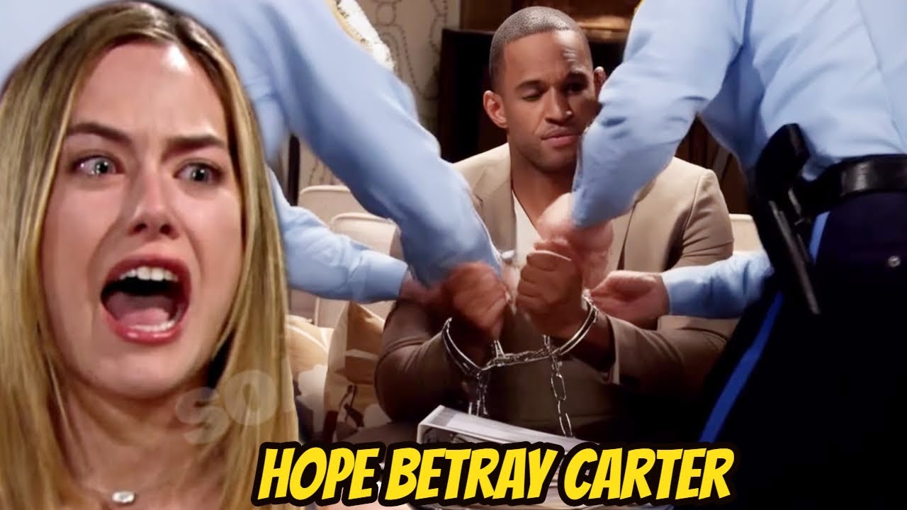 YouTube Thumbnail Downloader FULL HQ IMAGE